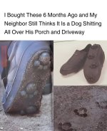1740776484898.jpeg