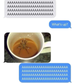 1741796063258.png