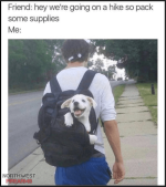 IMG_2672.png