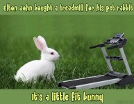 IMG_4282.jpeg