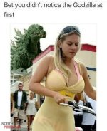 IMG_2707.jpeg
