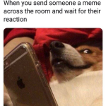 IMG_2715.png