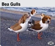 IMG_2807.jpeg