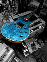 PRS SE ZM & Monoprice 15W.jpg