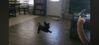 Screenshot_20260611_065334_YouTube.jpg